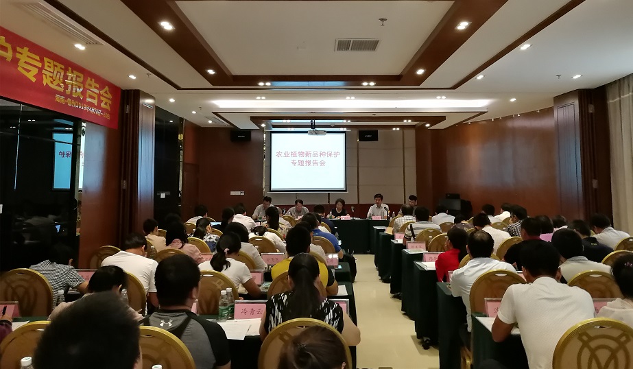 1 开幕领导讲话.jpg 1 开幕领导讲话.jpg