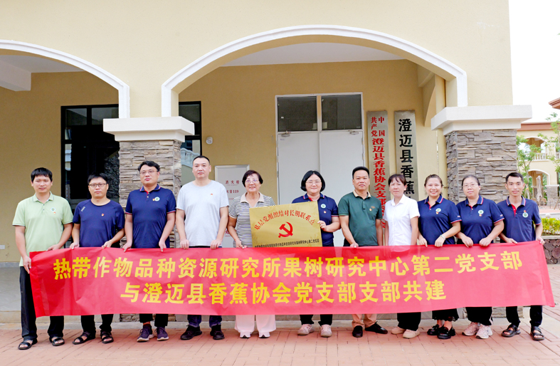 果树4.jpg 果树4.jpg