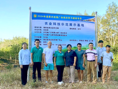 澄迈县中兴镇东岭村百香果基地指导灾后恢复生产工作 (1).jpg