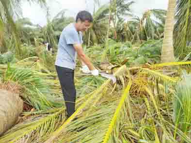 抢在救援现场 2.jpg