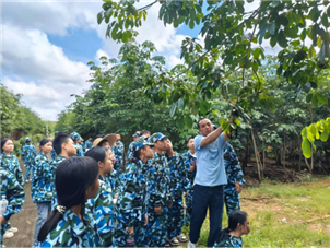 acf3203daf777fb381826847180bf7b