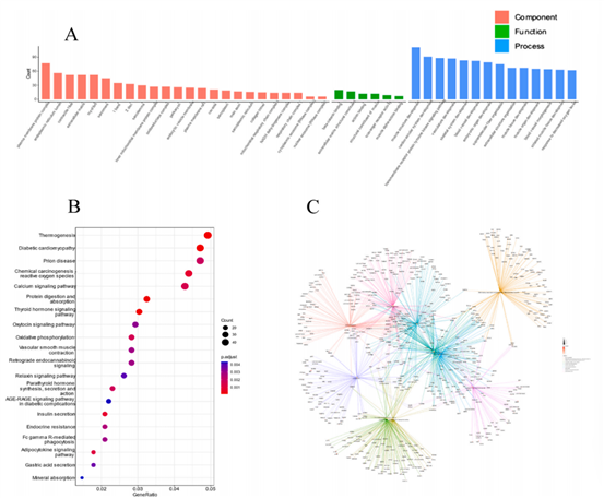 5560d8dd3afffb34e463038b6b07f4c7