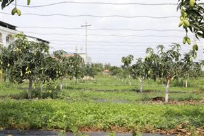 aada9425e0db2ccb37930f23554486e