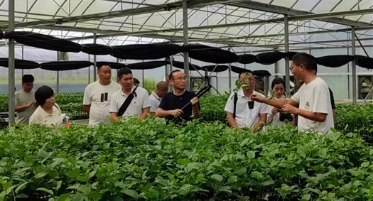 E:吴斌B. 项目省级科技计划海南省重点研发专项(关键核心技术攻关)5.10.17百香果砧木新品种及其高效嫁接育苗技术观摩会微信图片_20251020165032.jpg