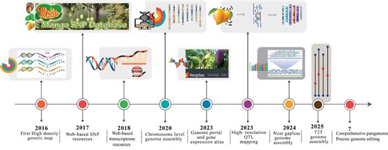A diagram of a timeline

AI-generated content may be incorrect.