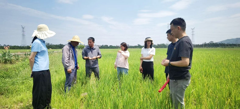 图2-1.jpg 图2-1.jpg